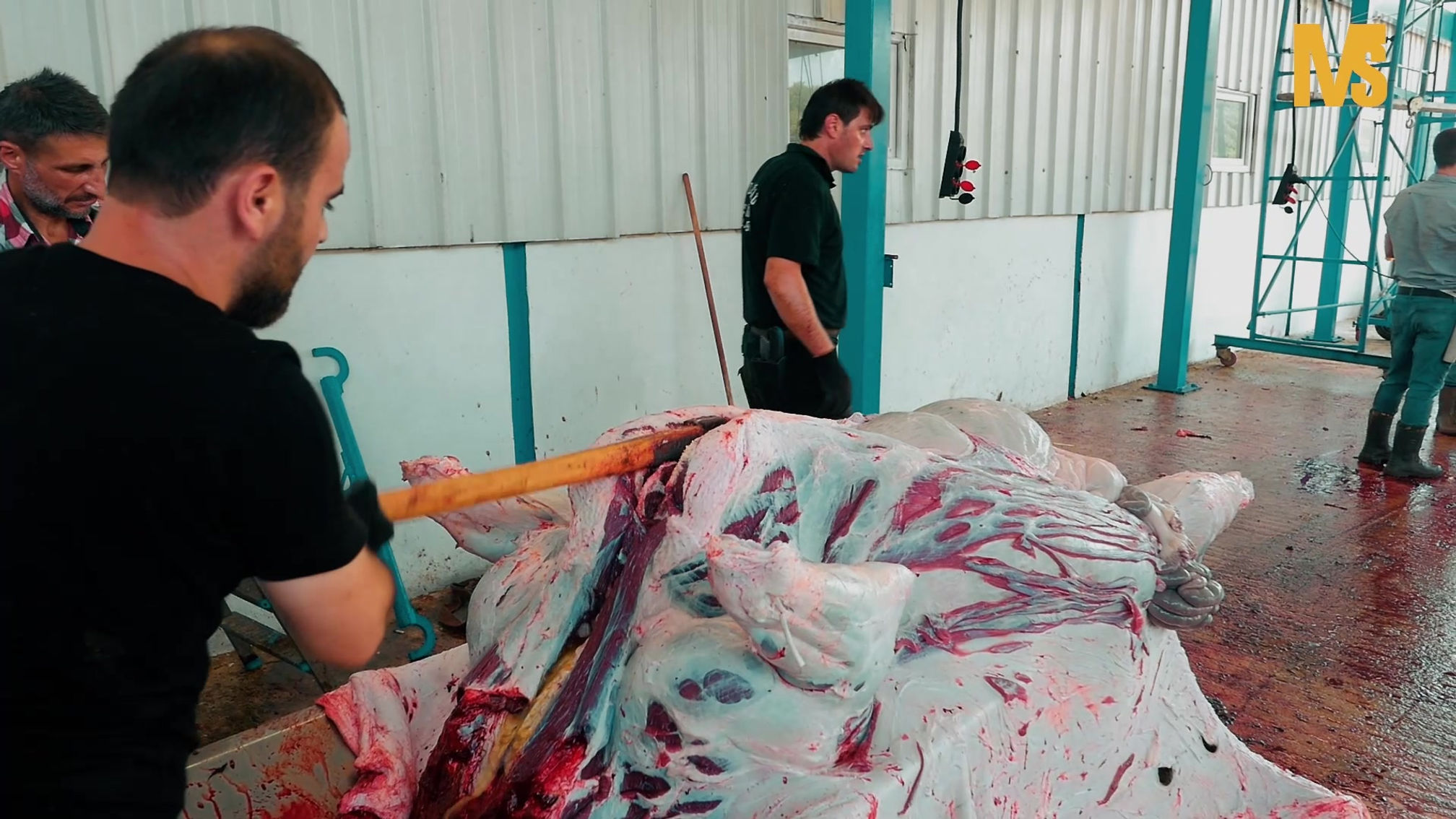 2021 Kurban Bayramı